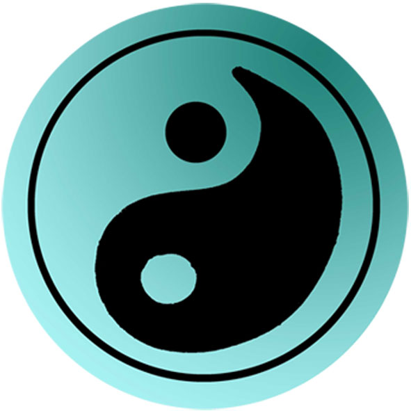 TAI CHI QI GONG classes image
